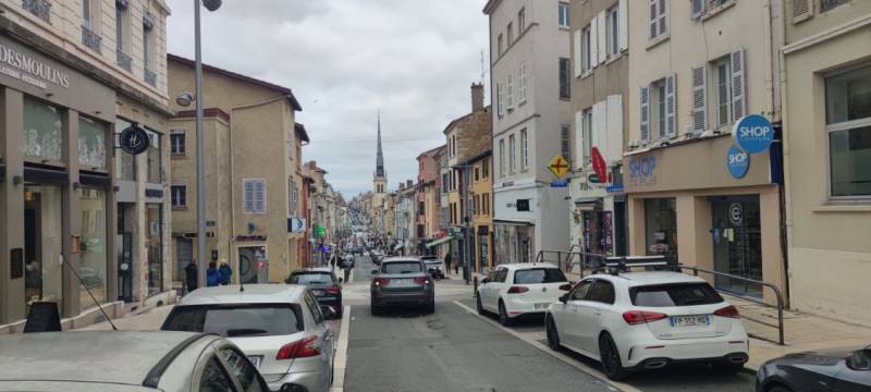 les trois espèces de fourmis  sur Villefranche sur Saône
