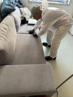 detection par un expert de punaises de lits a Grenoble et lyon