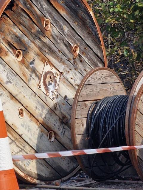 frelons dans une bobine de câble électrique dans un entrepôt a villeurbanne