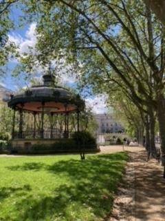 guêpes Saint Etienne