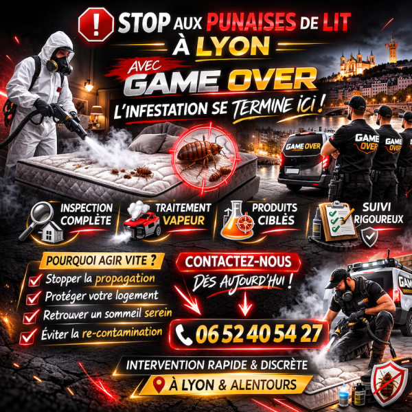 punaises lyon