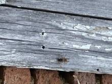 Nos prestations sur le secteur de à Lyon 69 Rhône-Alpes