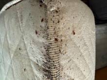 Notre zone d'activité pour ce service Service de désinfection des transports en commun à Lyon 69 Rhône-Alpes