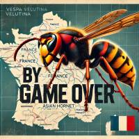 Notre zone d'activité pour ce service Dératisation pour traitement contre les rats et souris à Grenoble en Isère