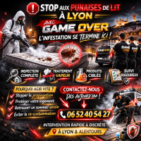 punaises lyon